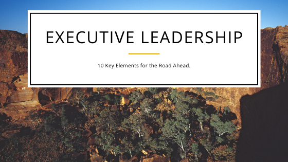 The Road to Executive Level Leadership